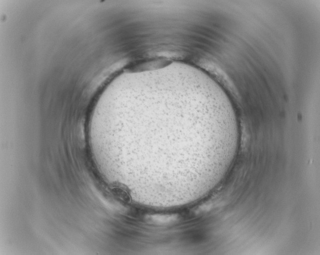 X0000088230251200706051355