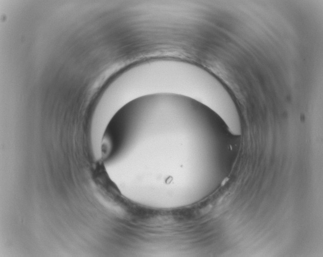 X0000088230252200706051355