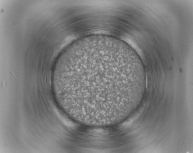 X0000088230253200706051355