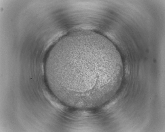 X0000088230254200706051355