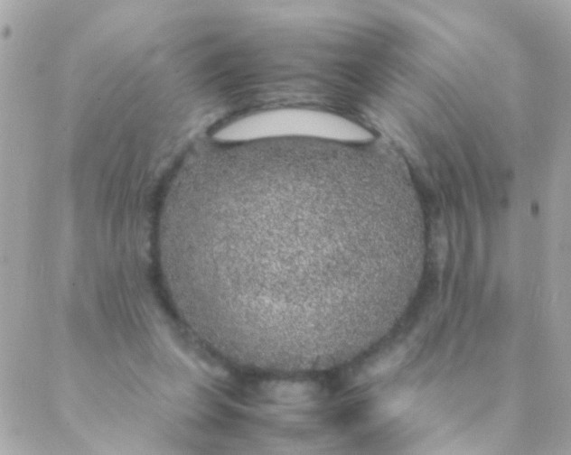 X0000088230255200706051355