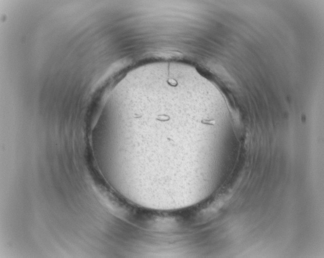 X0000088230256200706051355