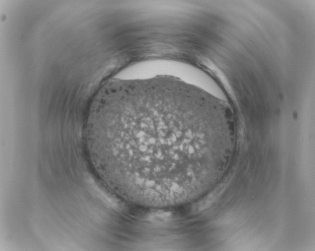 X0000088230257200706051355