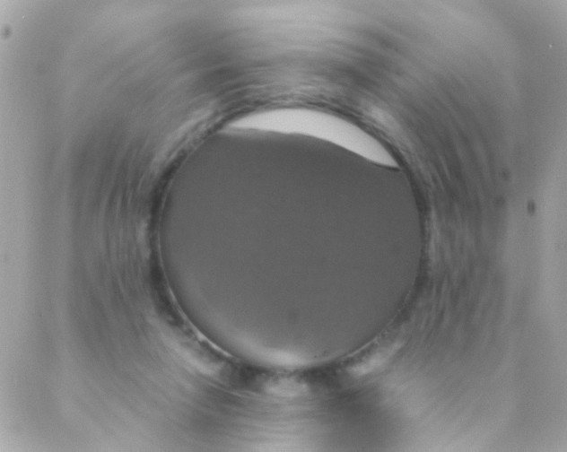 X0000088230258200706051355