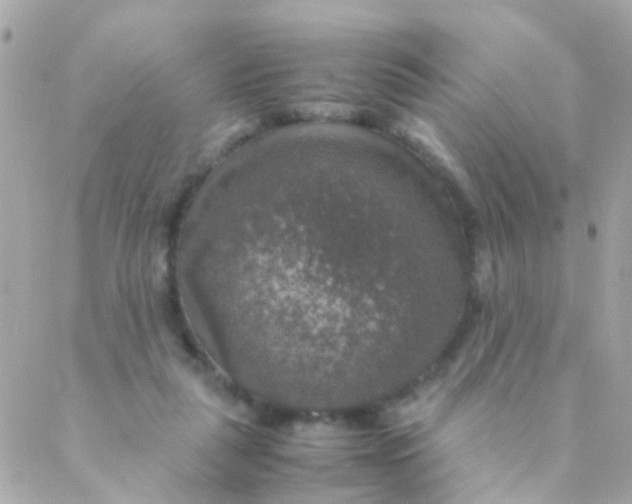 X0000088230259200706051355