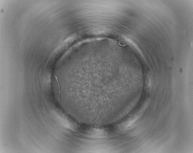 X0000088230260200706051355