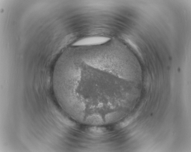 X0000088230261200706051355