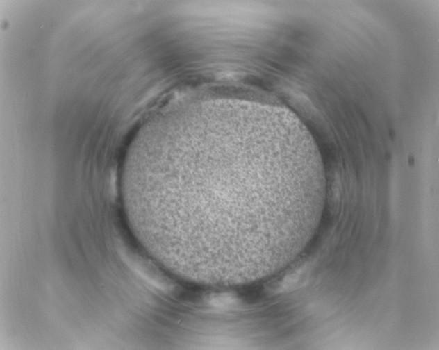 X0000088230262200706051355