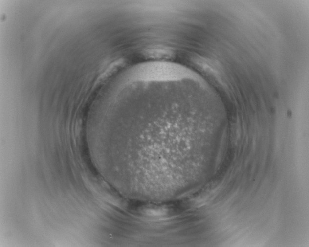 X0000088230263200706051355