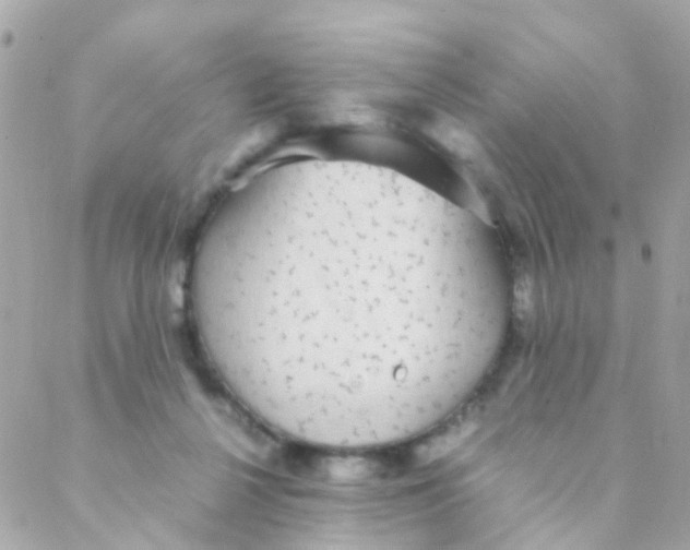 X0000088230264200706051355