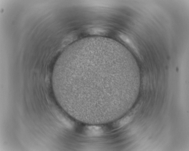 X0000088230265200706051355