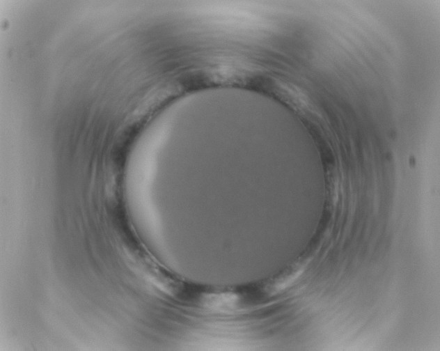 X0000088230266200706051355