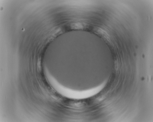 X0000088230267200706051355