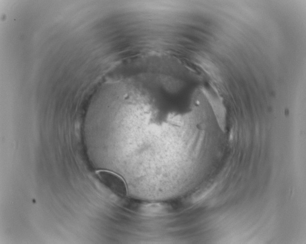 X0000088230269200706051355