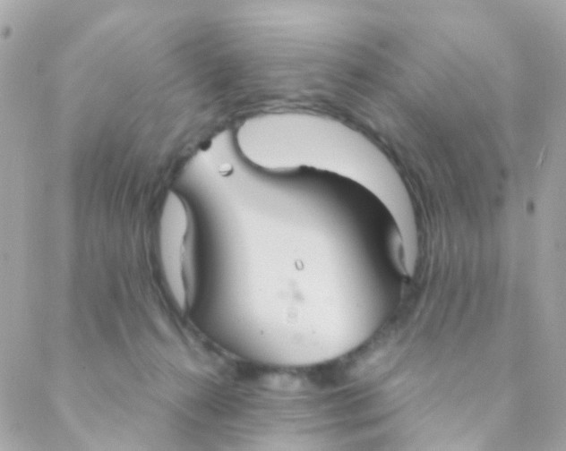 X0000088230272200706051355