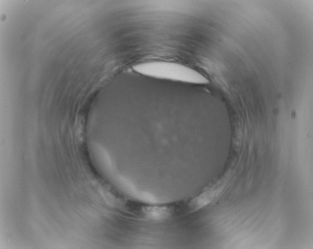 X0000088230273200706051355