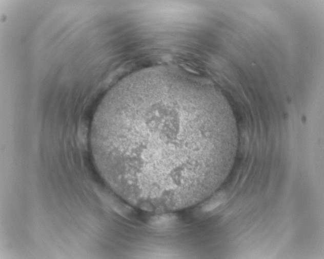 X0000088230274200706051355