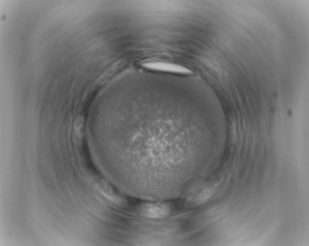 X0000088230275200706051355