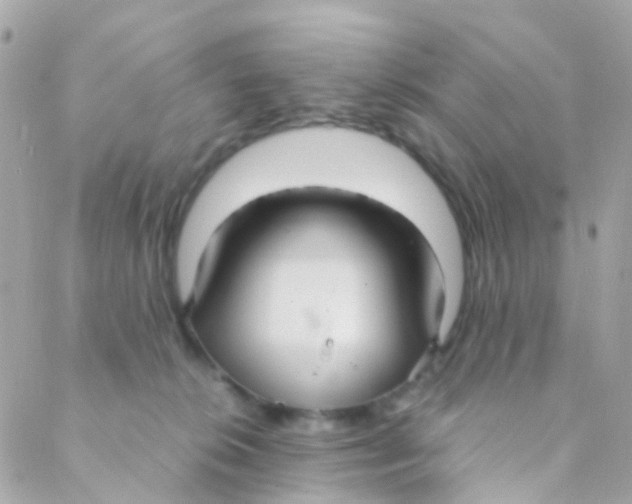 X0000088230276200706051355