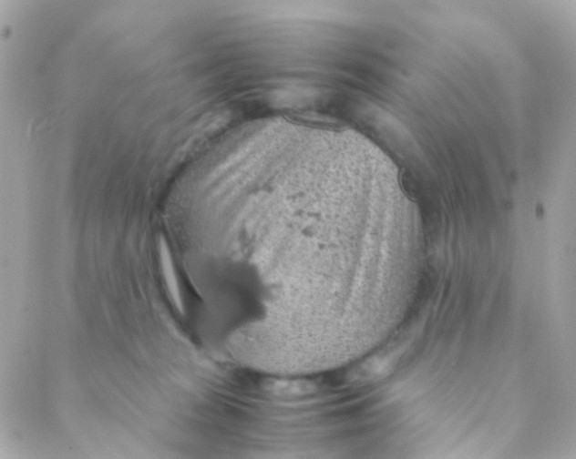 X0000088230277200706051355