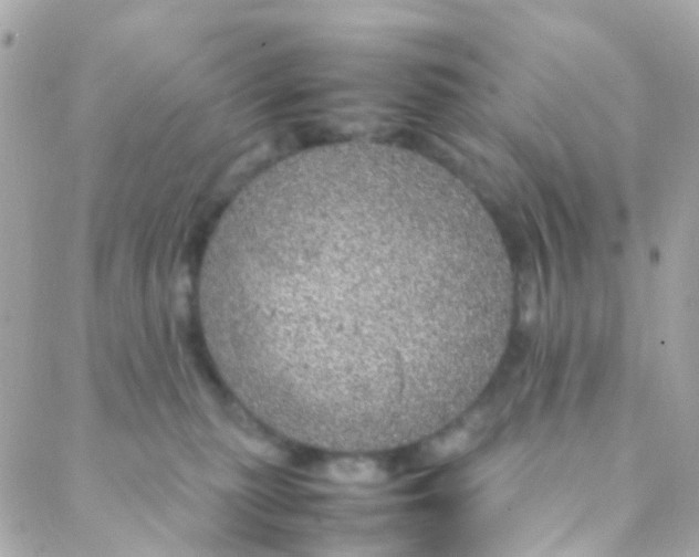 X0000088230279200706051355