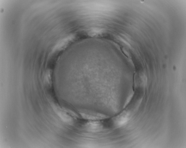 X0000088230280200706051355