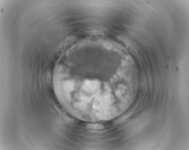 X0000088230281200706051355