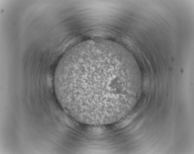 X0000088230282200706051355