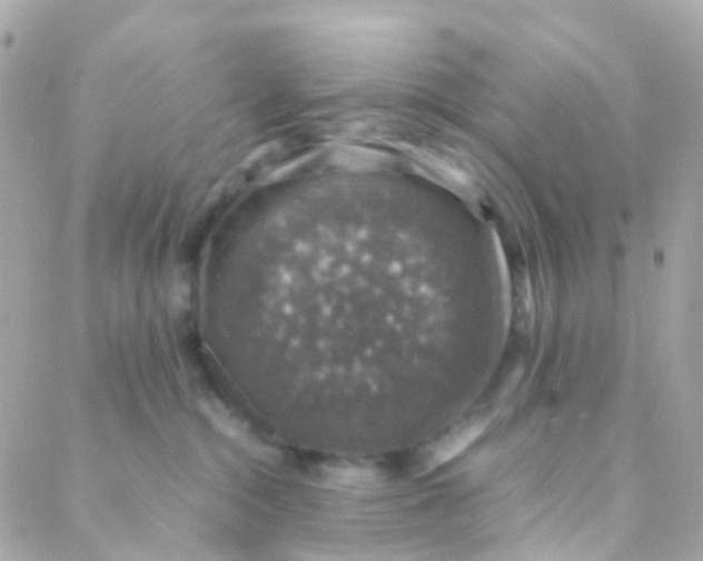 X0000088230284200706051355