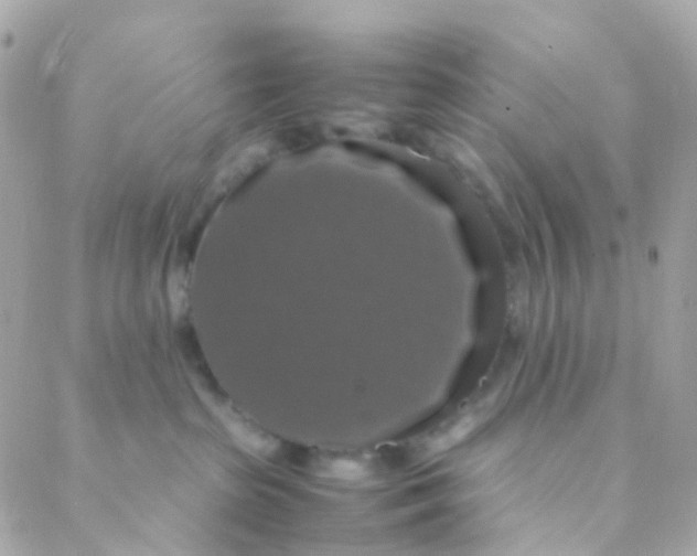 X0000088230285200706051355