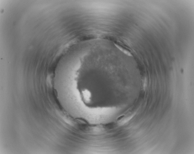 X0000088230286200706051355