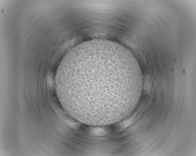 X0000088230287200706051355