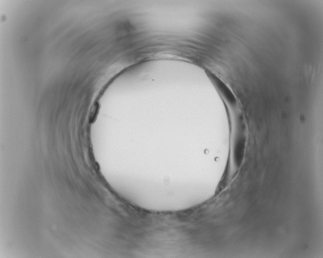 X0000088230289200706051355