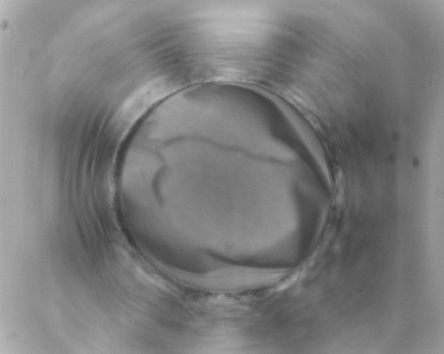 X0000088230290200706051355