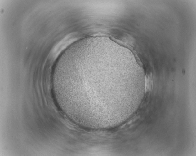 X0000088230291200706051355