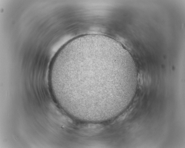 X0000088230292200706051355