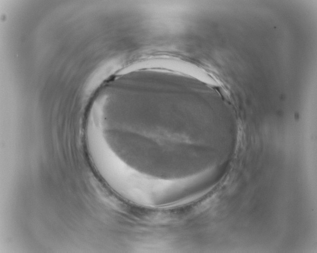 X0000088230293200706051355