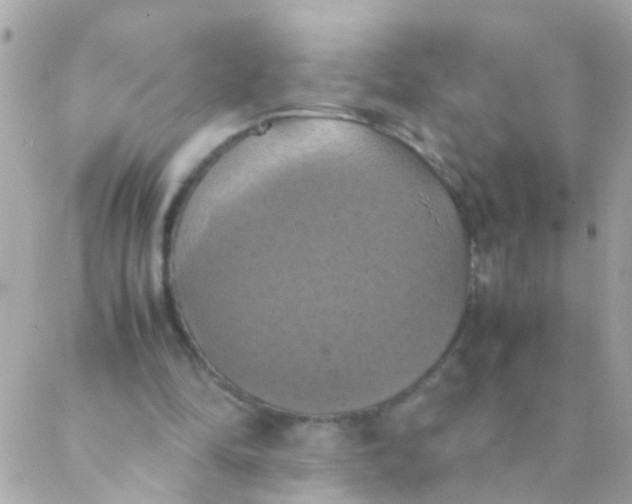 X0000088230294200706051355