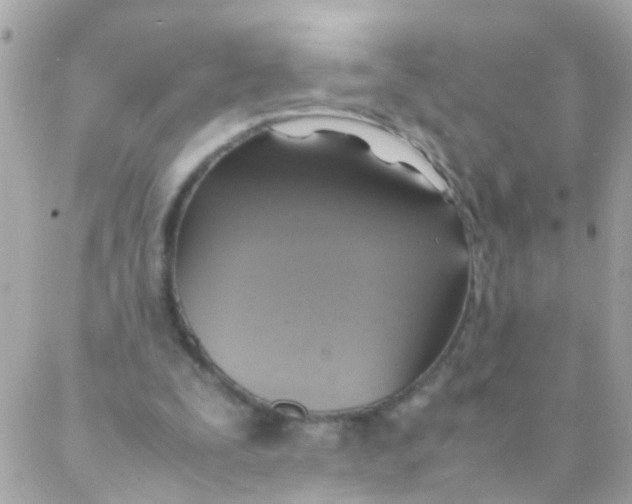 X0000088230295200706051355