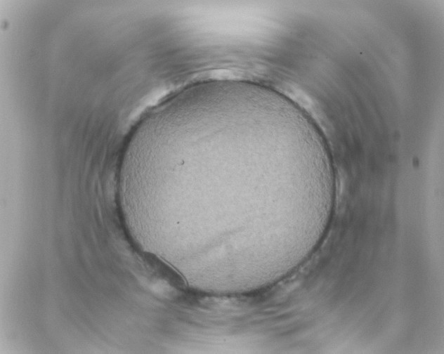 X0000088230297200706051355