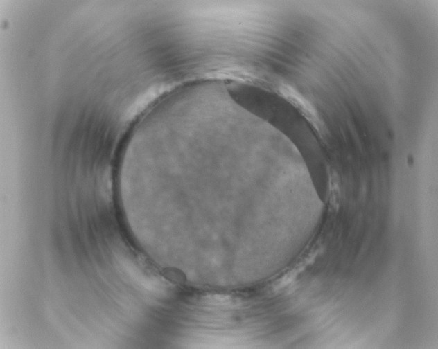 X0000088230298200706051355