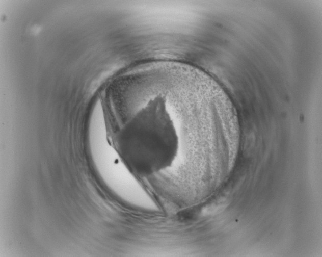 X0000088230299200706051354