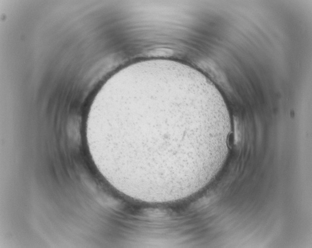 X0000088230300200706051354