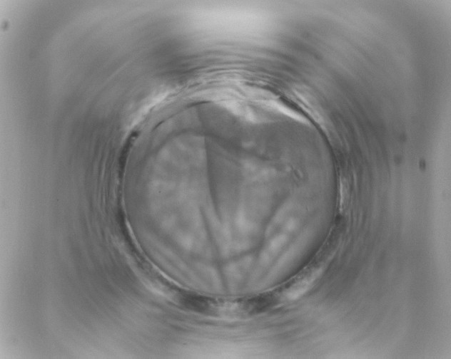 X0000088230301200706051354