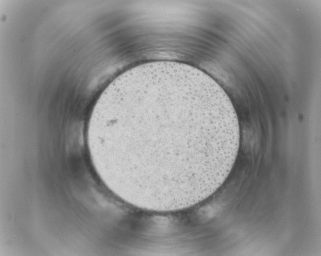 X0000088230302200706051354