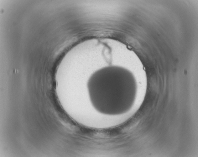 X0000088230303200706051354