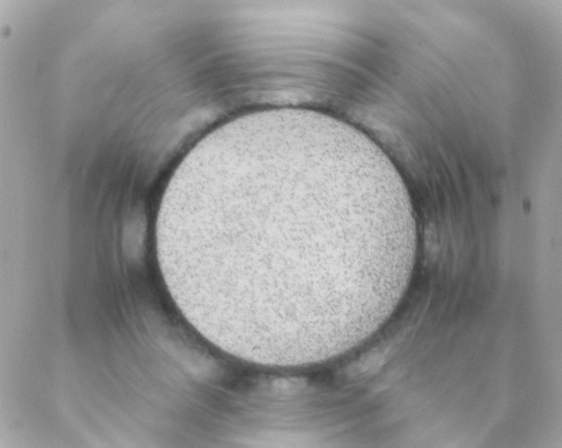 X0000088230304200706051354