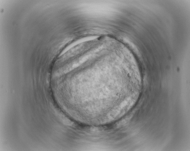 X0000088230305200706051354