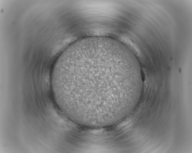 X0000088230306200706051354