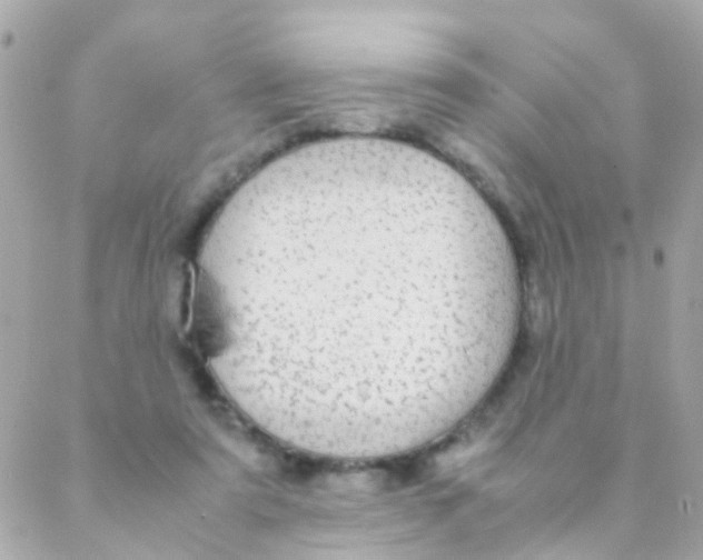 X0000088230307200706051354